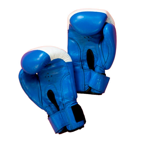 Luva de Boxe Pro